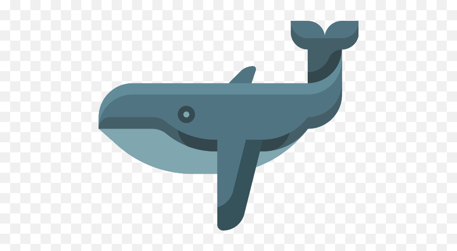 Whale Png Icon 48 - Png Repo Free Png Icons Vector Whale Svg,Whale Transparent Background
