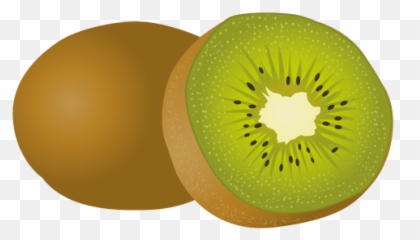 Transparent Png Svg Vector File - Imagens De Kiwi Desenho,Kiwi Transparent