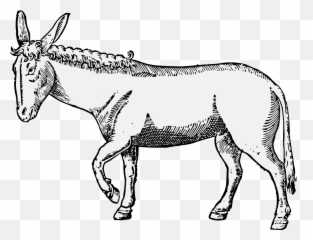 Ass - Traceable Heraldic Art Mane Png,Ass Png