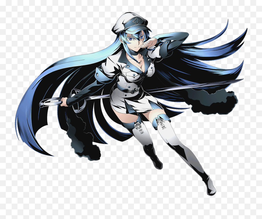 Erza Scarlet Png - Kiryuin Satsuki Vs Esdeath And Akame Vs Transparent Akame Ga Kill Esdeath,Erza Scarlet Png