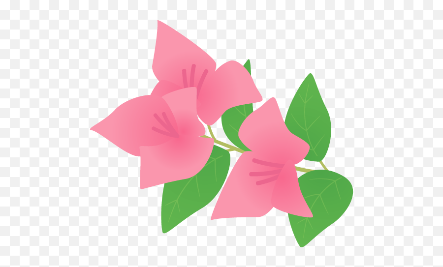 Bougainvillea Tree Png Download - Anthurium,Bougainvillea Png