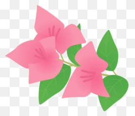 Bougainvillea Tree Png Download - Anthurium,Bougainvillea Png