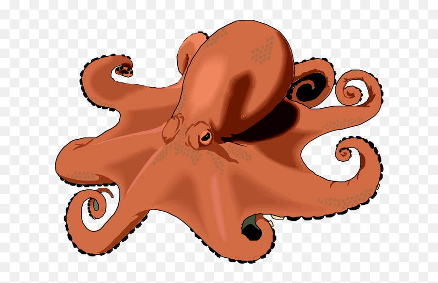 Octopus Clipart Free Images 7 - Clipartingcom Clipart Of An Octopus Png,Octopus Png