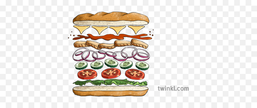 Exploded Sandwich Illustration - Twinkl Bun Png,Sandwhich Png