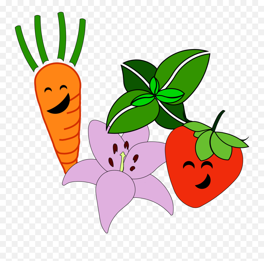 Radish Clipart Transparent - Fruit And Vegetable Clip Art Vegetable Png,Radish Png