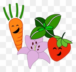 Radish Clipart Transparent - Fruit And Vegetable Clip Art Vegetable Png,Radish Png