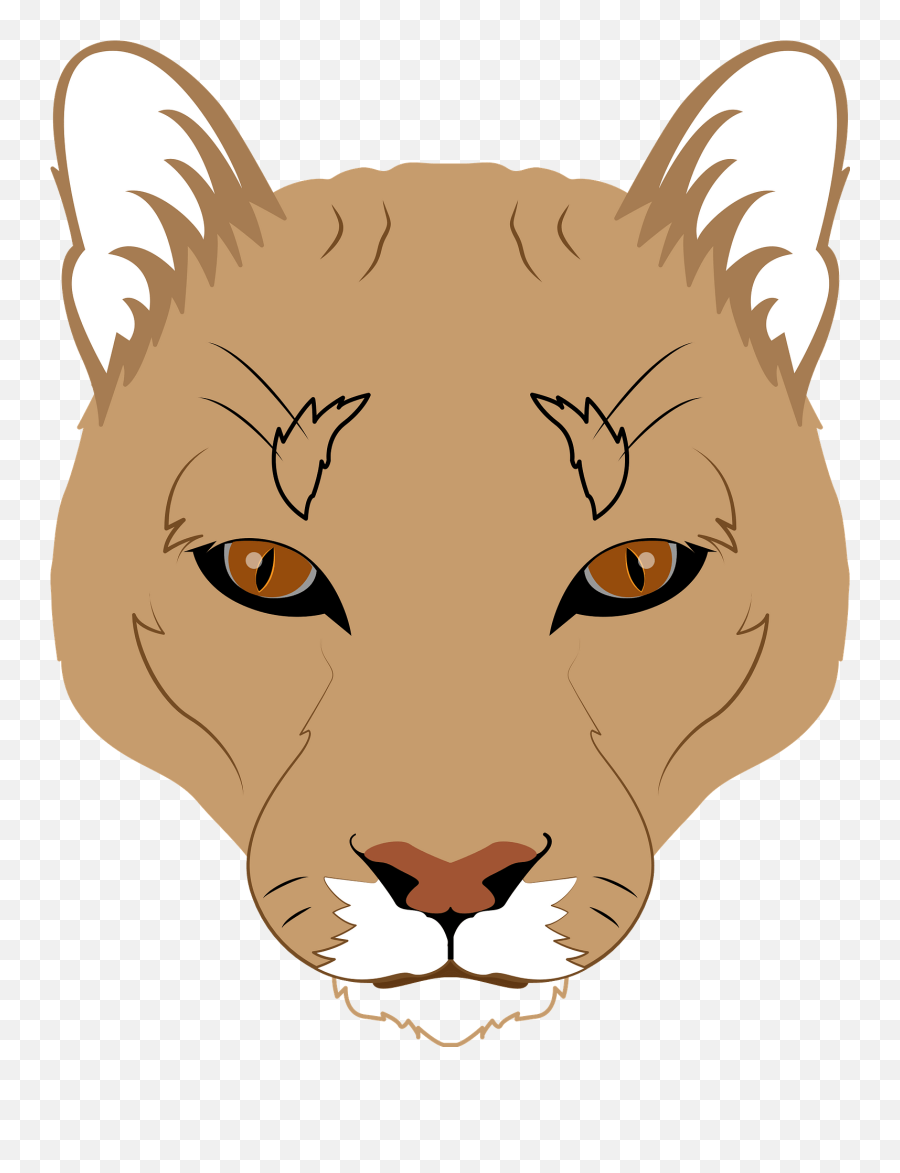 Mountain Lion Face Clipart - Illustration Png,Lion Face Png