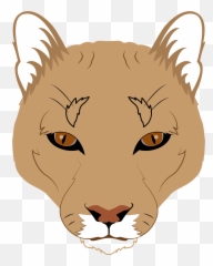 Mountain Lion Face Clipart - Illustration png
