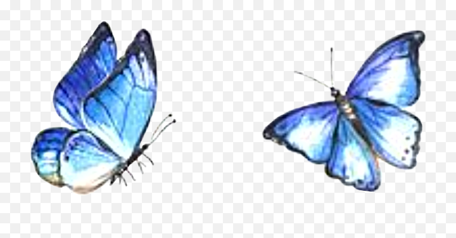 Watercolor Butterflies Sticker - Watercolor Butterflies Blue Png,Watercolor Butterfly Png