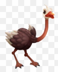 Ostrich Paradise Bay Wikia Fandom - Ostrich Png,Ostrich Png