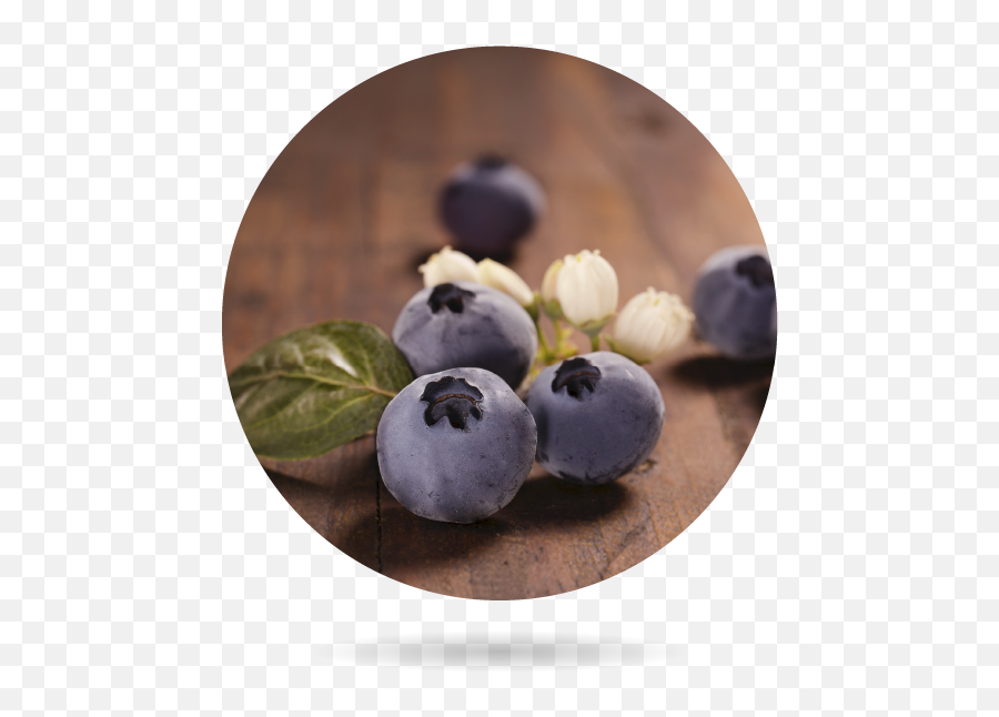 Organic Blueberry - Bionest Agricultura Ecológica Bilberry Png,Blueberry Png
