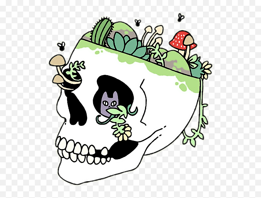 Skull Aesthetic Grunge Tumblr Plants Trippy Freetoedit - Aesthetic Grunge Tumblr Art Png,Tumblr Transparent Grunge