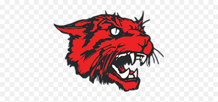 Download Bobcat Vector Wildcat - New London Wildcats Full New London Schools Ohio Logo Png,Wildcat Png