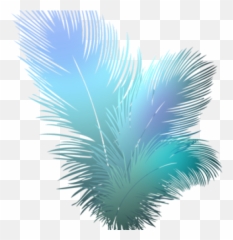 Transparent Peacock Feather Png - Clip Art