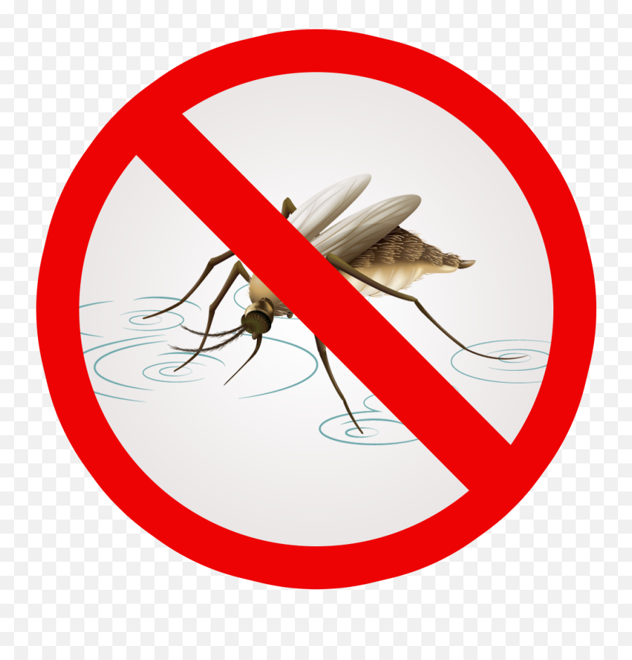 Mosquito Clipart Net - Netlon Services Png,Nets Logo Png