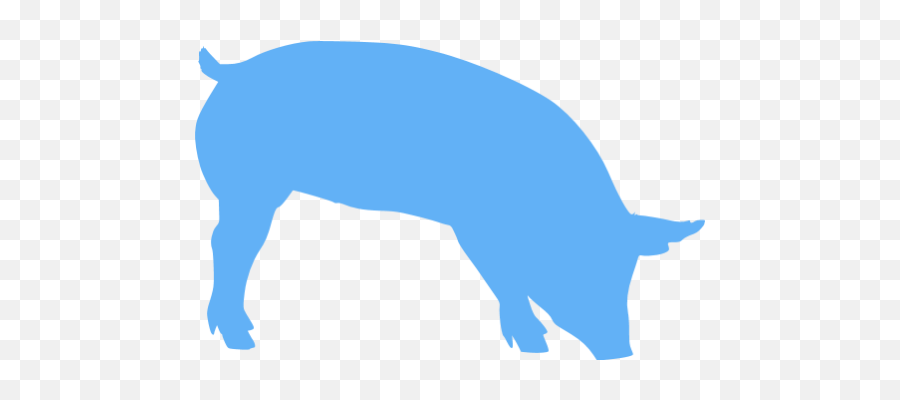 Tropical Blue Pig 7 Icon - Free Tropical Blue Animal Icons Silhouette Of A Pig Transparent Png,Free Pig Icon