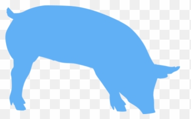 Tropical Blue Pig 7 Icon - Free tropical animal icons Silhouette Of A Pig Transparent png