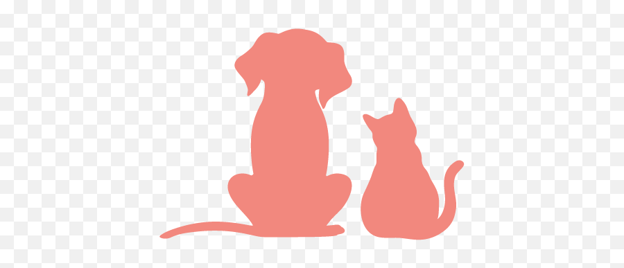 Best Friends Colourpop - Silhouette Dog And Cat Clipart Png,Dog And Cat Icon
