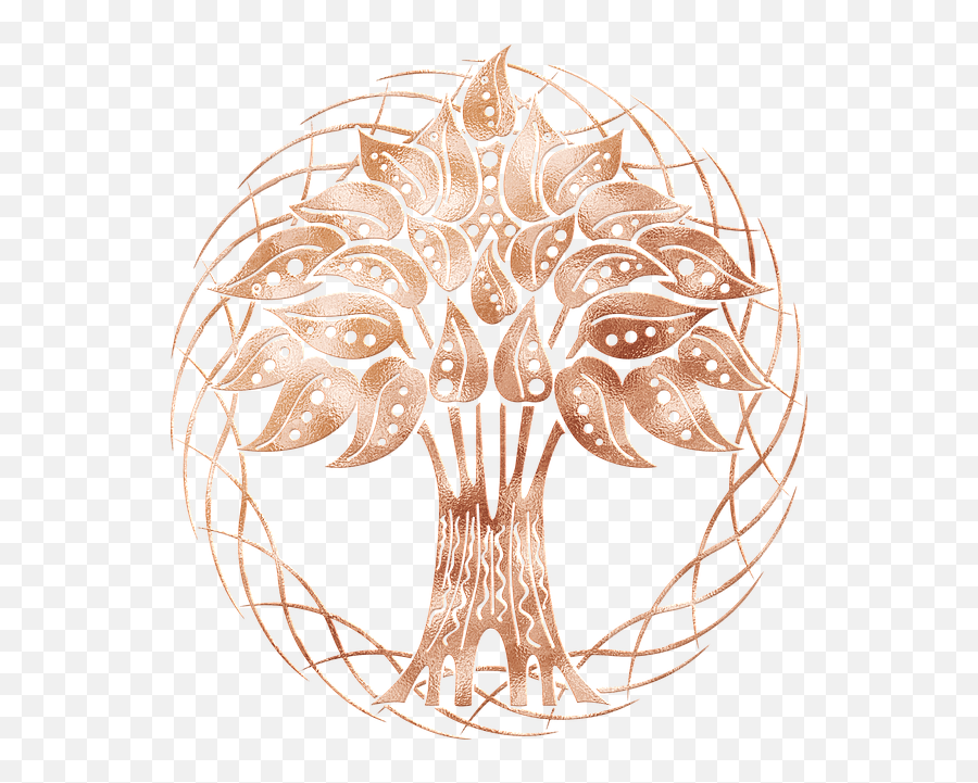Free Photo Spiritual Tree Of Life Frame Metaphysical - Decorative Png,Tree Of Life Icon