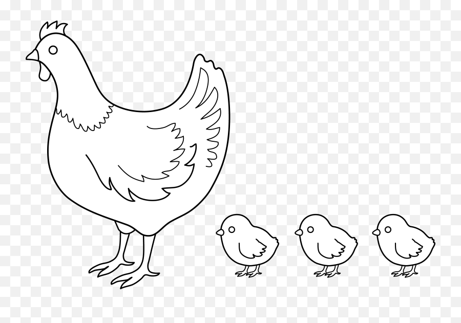 Chicken Drawing Clip Art - Chick Png Download 78245139 Hens And Chicks Chickens Drawing,Baby Chicks Png