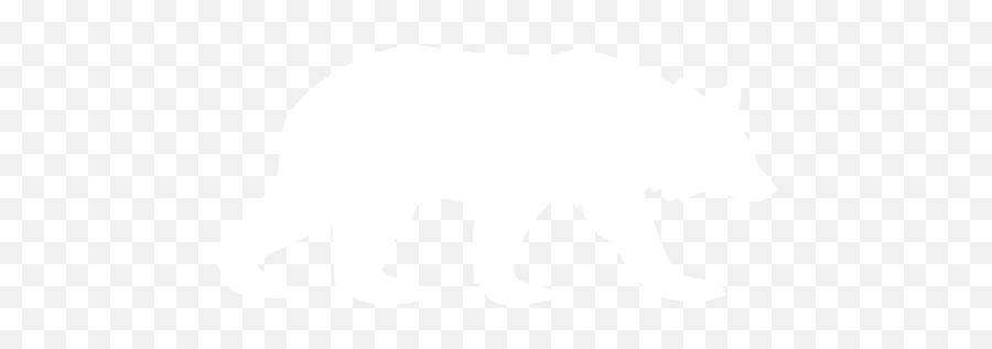 White Bear 5 Icon - Free White Animal Icons White Bear Icon Png,Bear Icon