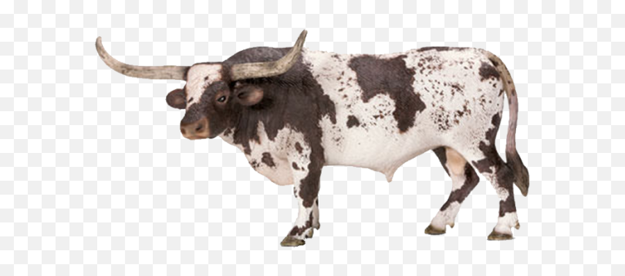 Schleich Texas Longhorn Bull - Schleich Cows And Bulls Png,Longhorn Png