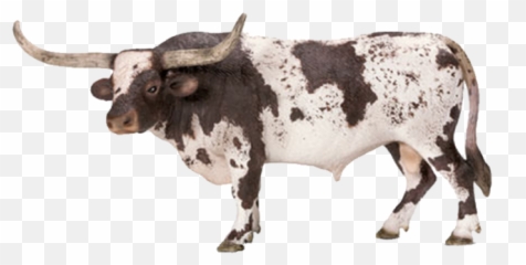 Schleich Texas Longhorn Bull - Schleich Cows And Bulls Png,Longhorn Png