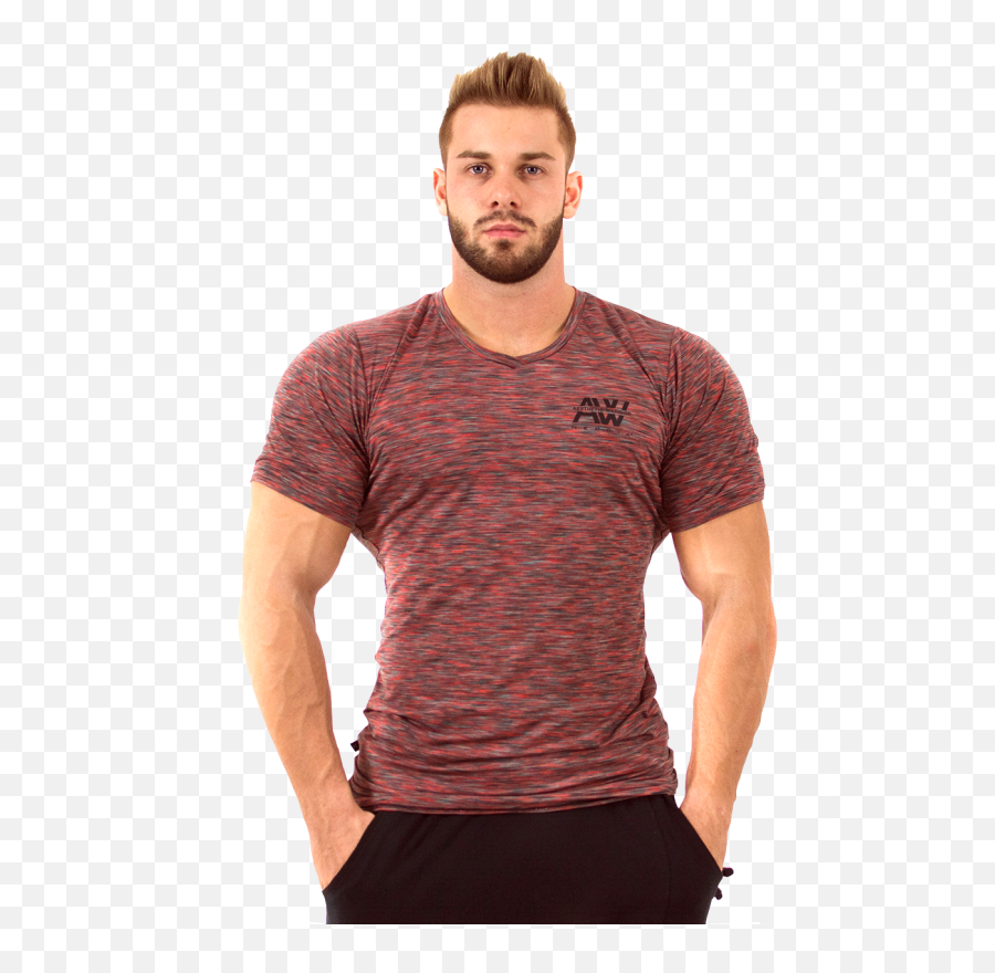 T - Shirt Model N126 Bordo Nebbia Nebbia Fitness Png,Male Model Png