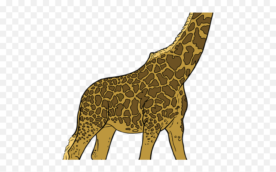 Mammal Clipart Giraffe - Custom Giraffe Throw Blanket Png Giraffe Clip Art,Blanket Png