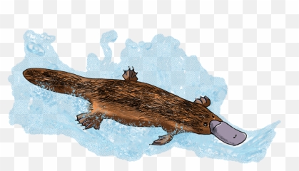 Download Eleeart Hashtag - Alligator Png Image Platypus,Alligator Png