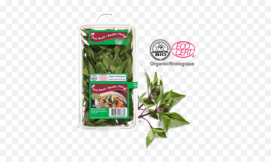 Download Water Spinach - Full Size Png Image Pngkit Eco Cert,Spinach Png