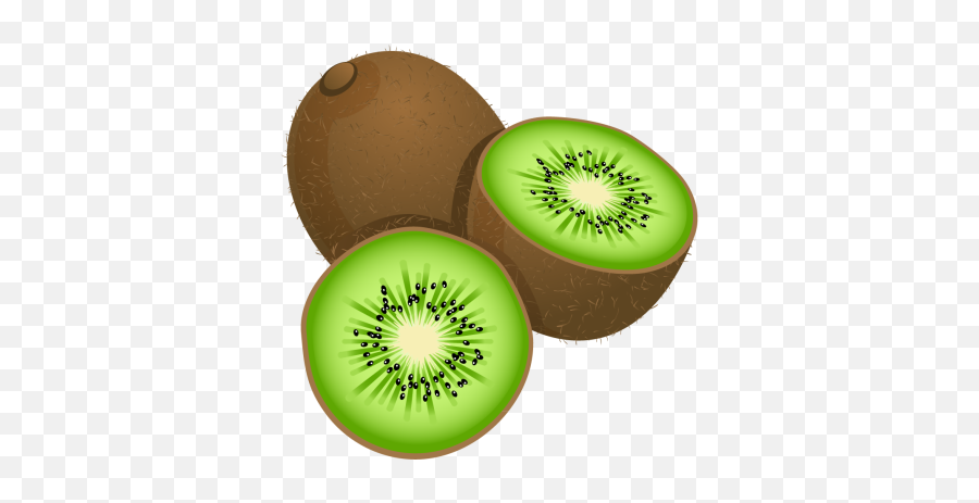 Avocados Png And Vectors For Free Download - Dlpngcom Kiwi Clipart,Avacado Png