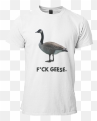 Fuck Geese - Canada Goose Png,Geese Png