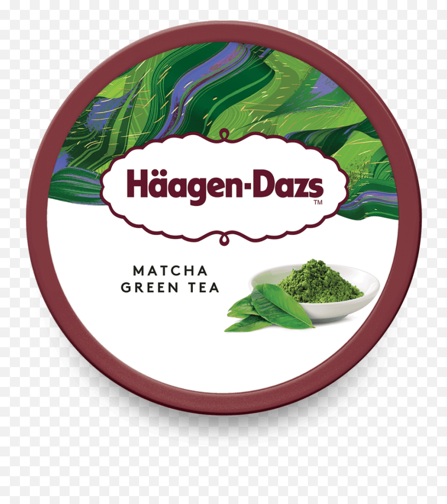 Matcha Green Tea Ice Cream Pint Häagen - Dazs Haagen Dazs The Matcha Png,Green Tea Png