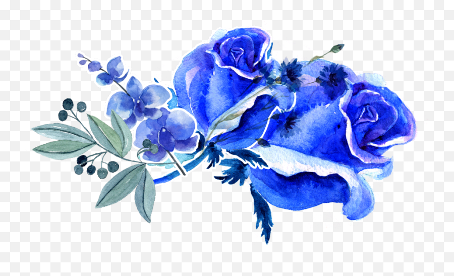 Transparent Royal Blue Roses Png U2013 Ardusatorg - Royal Blue Watercolor Floral,Blue Flower Transparent