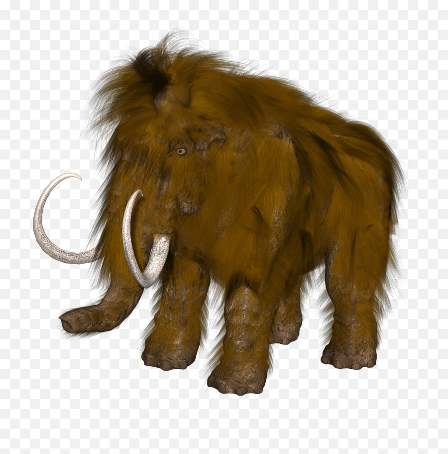 Download Mammoth Png Transparent - Mammouth Png,Tusk Png
