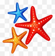 Clipart Ocean Starfish Transparent - Beach Starfish Clipart Png,Starfish Png