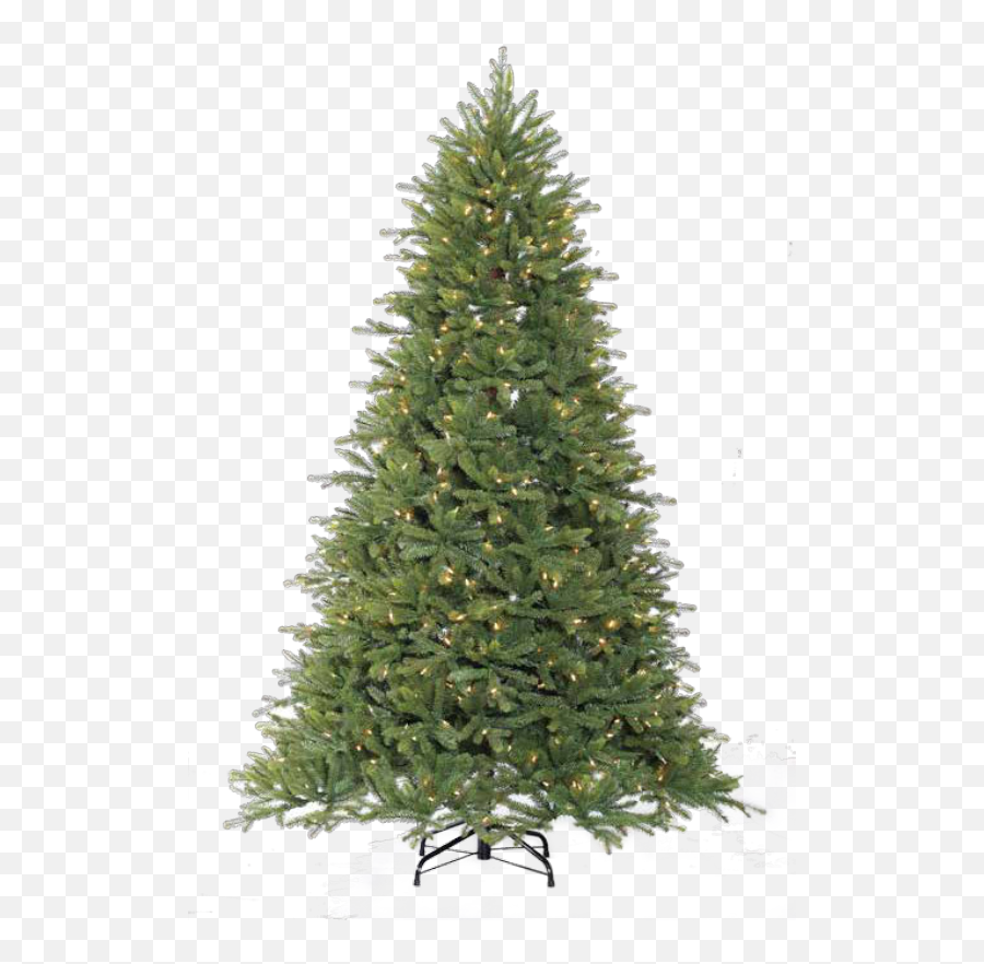 Wild Bird Center Serving Connecticut - Artificial Christmas Tree Png,Christmas Greenery Png