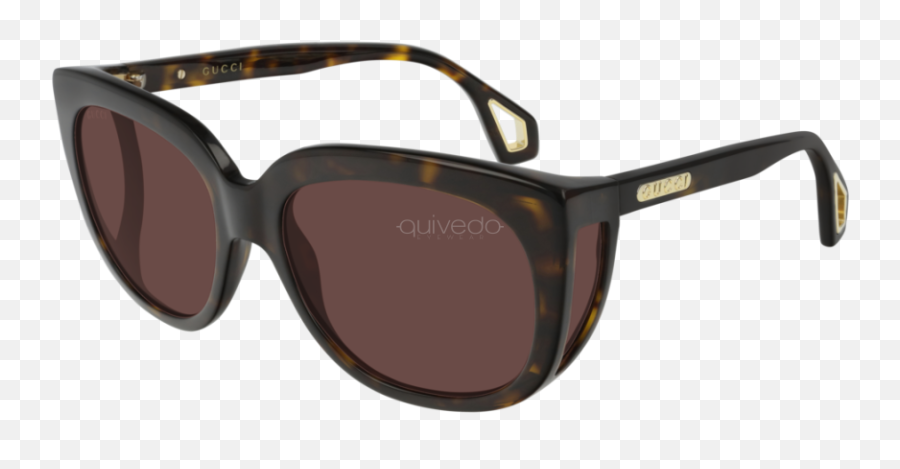 Gucci Seasonal Icon Gg0468s - 002 Prada Png,Goggles Icon