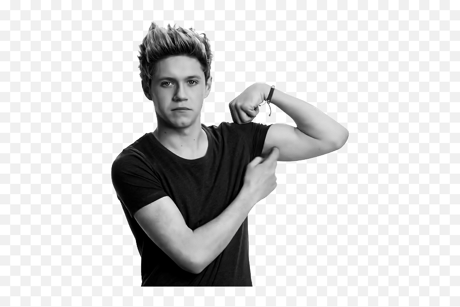 Niall Horan Png Tumblr - Transparent Niall Horan Png,Niall Icon