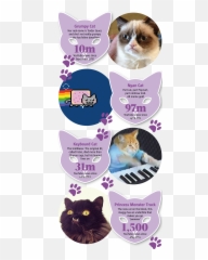 Internet Meme Cats Agent Ben Lashes Png