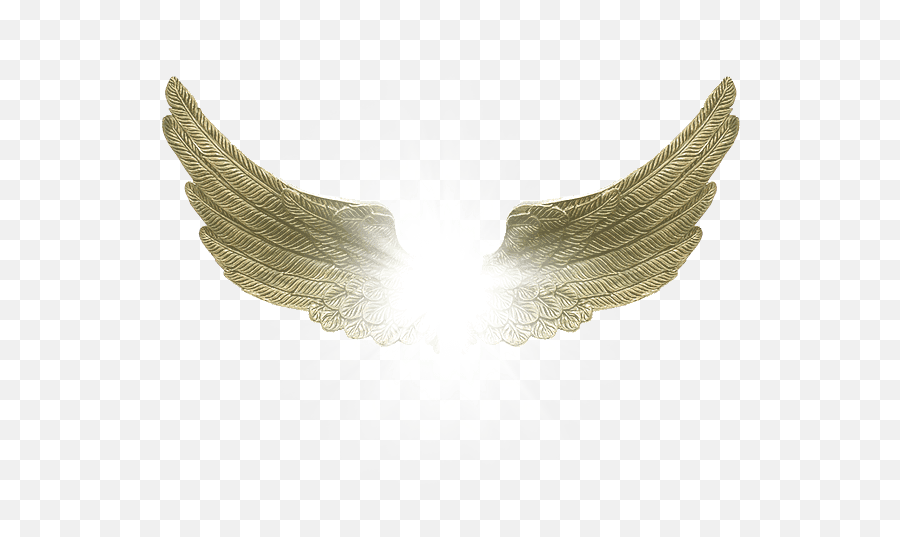 Download Hd Angel Wings - Png Victoria Secrets Wings Archangel Angels Wings Png,Angel Wings Png