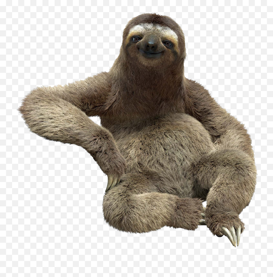 Sloth Png - Sloth Png,Sloth Png