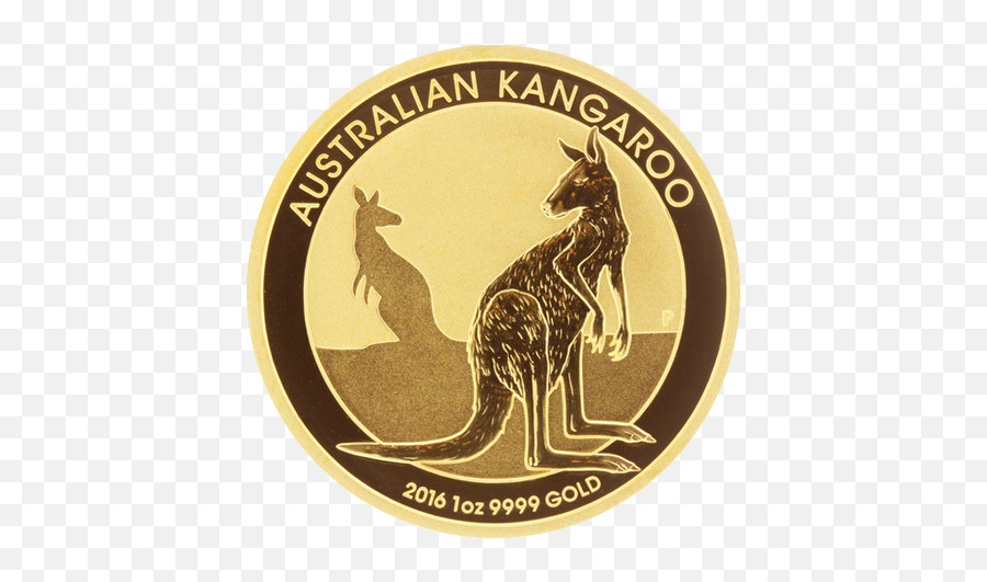 1 Oz Australian Gold Kangaroo Coin Irish Bullion - Kangaroo Png,Kangaroo Transparent Background