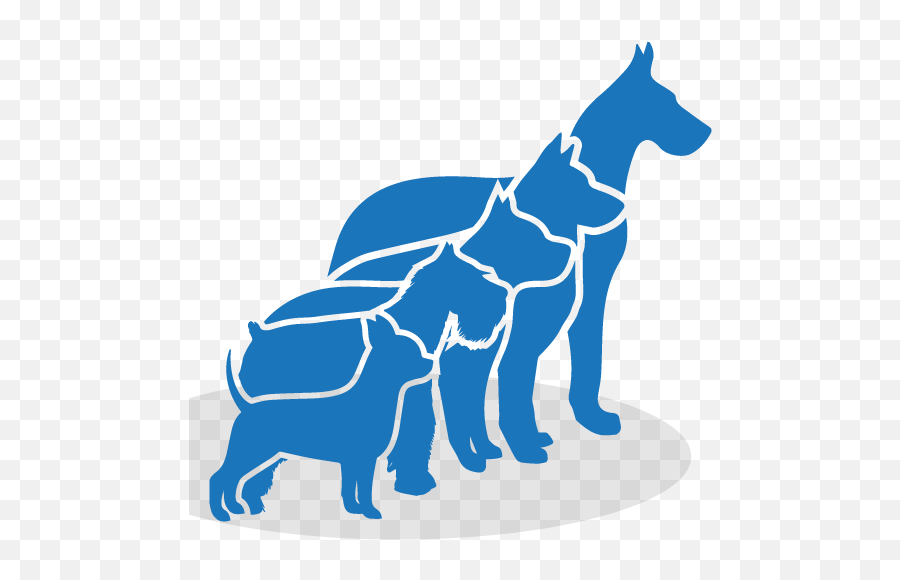 Premier Pack Dog Training Contract Png Animal Icon