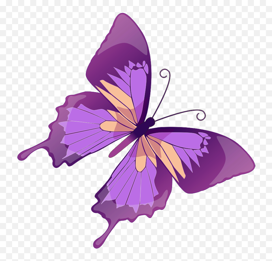Drawing Spring Butterfly Transparent - Clipart Purple Butterfly Png,Purple Butterfly Png