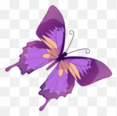 Drawing Spring Butterfly Transparent - Clipart Purple Butterfly Png,Purple Butterfly Png