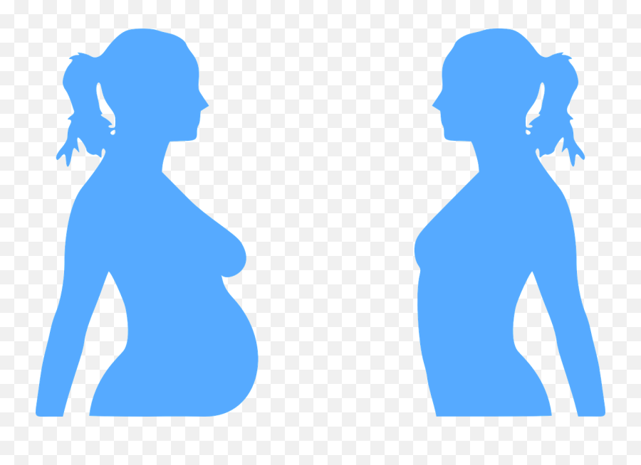 Pregnancy Pregnant Woman Baby Blue - Pregnant Woman And Non Pregnant Woman Png,Pregnant Png