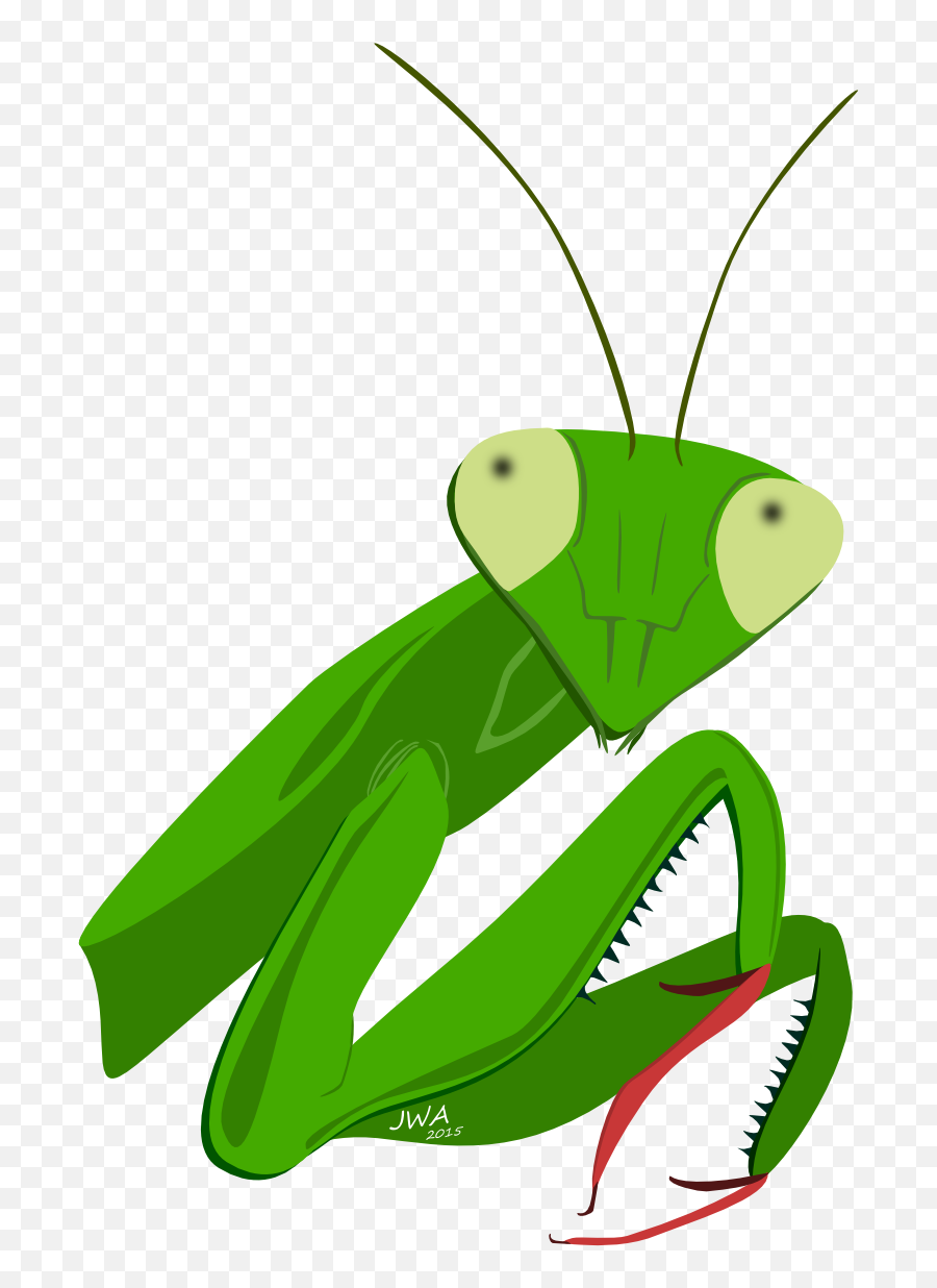 Download Clip Art Insect Animal Honey - Praying Mantis Cartoon Head Png,Mantis Png
