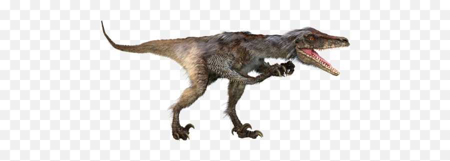Raptor Dinosaur Png Picture 572446 - Velociraptor,Velociraptor Png